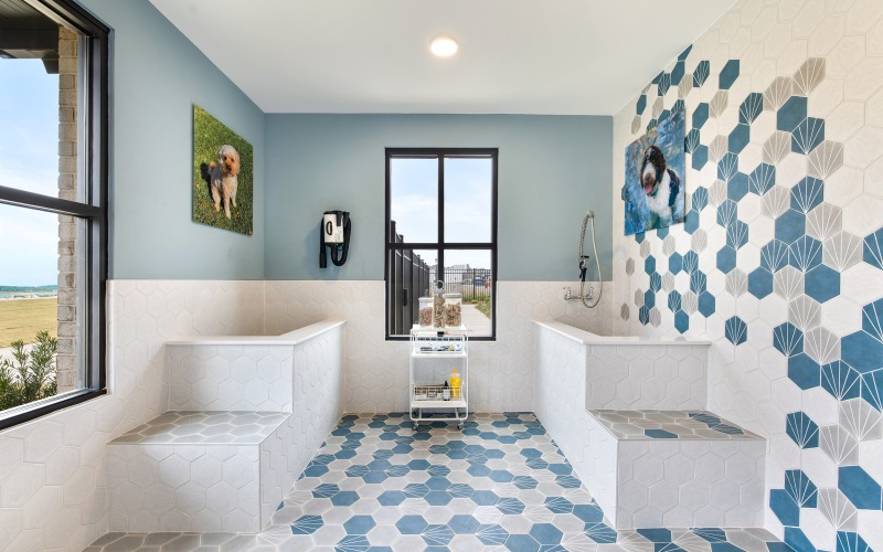 Self-Service Pet Spa with dog treats